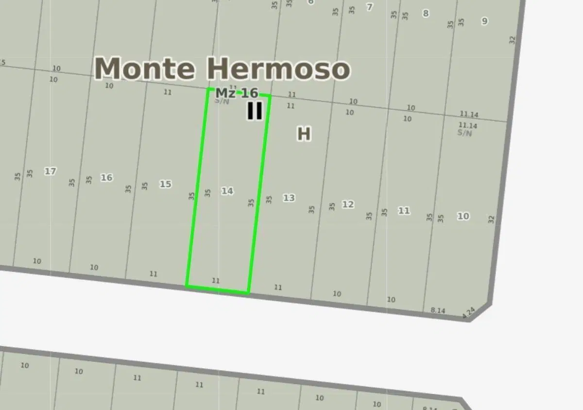 LOTE SAUCE GRANDE 4