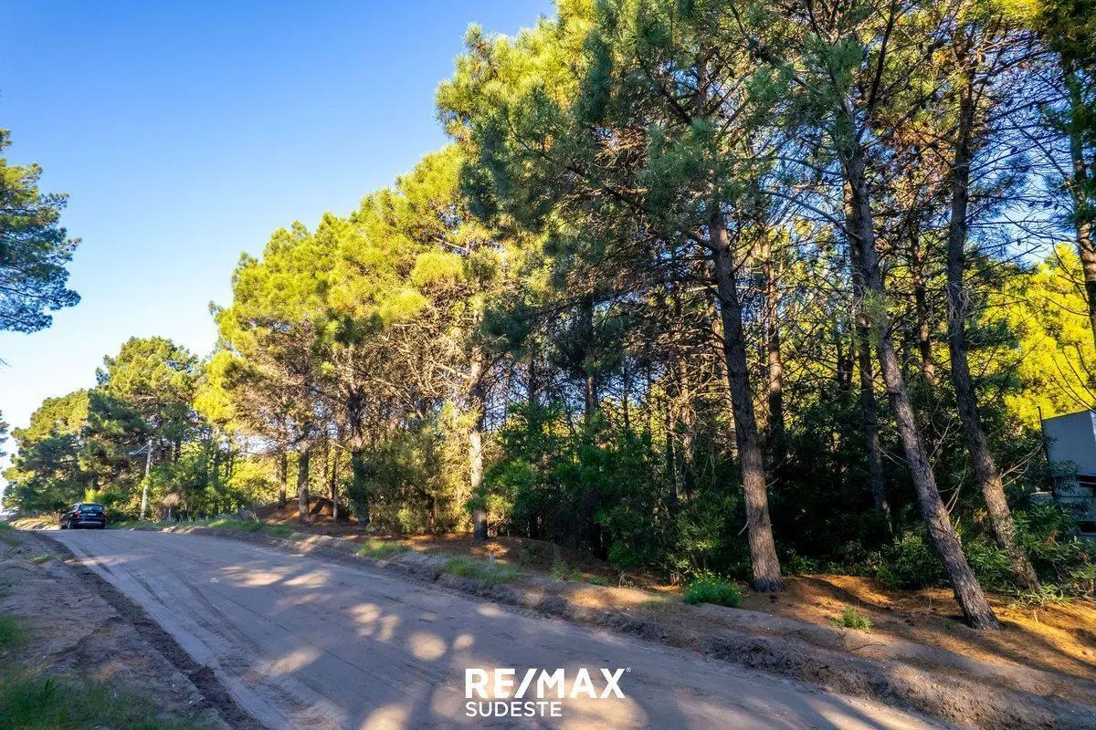 VENTA LOTE DE 920 MTS EN PINAR DEL GOLF 4