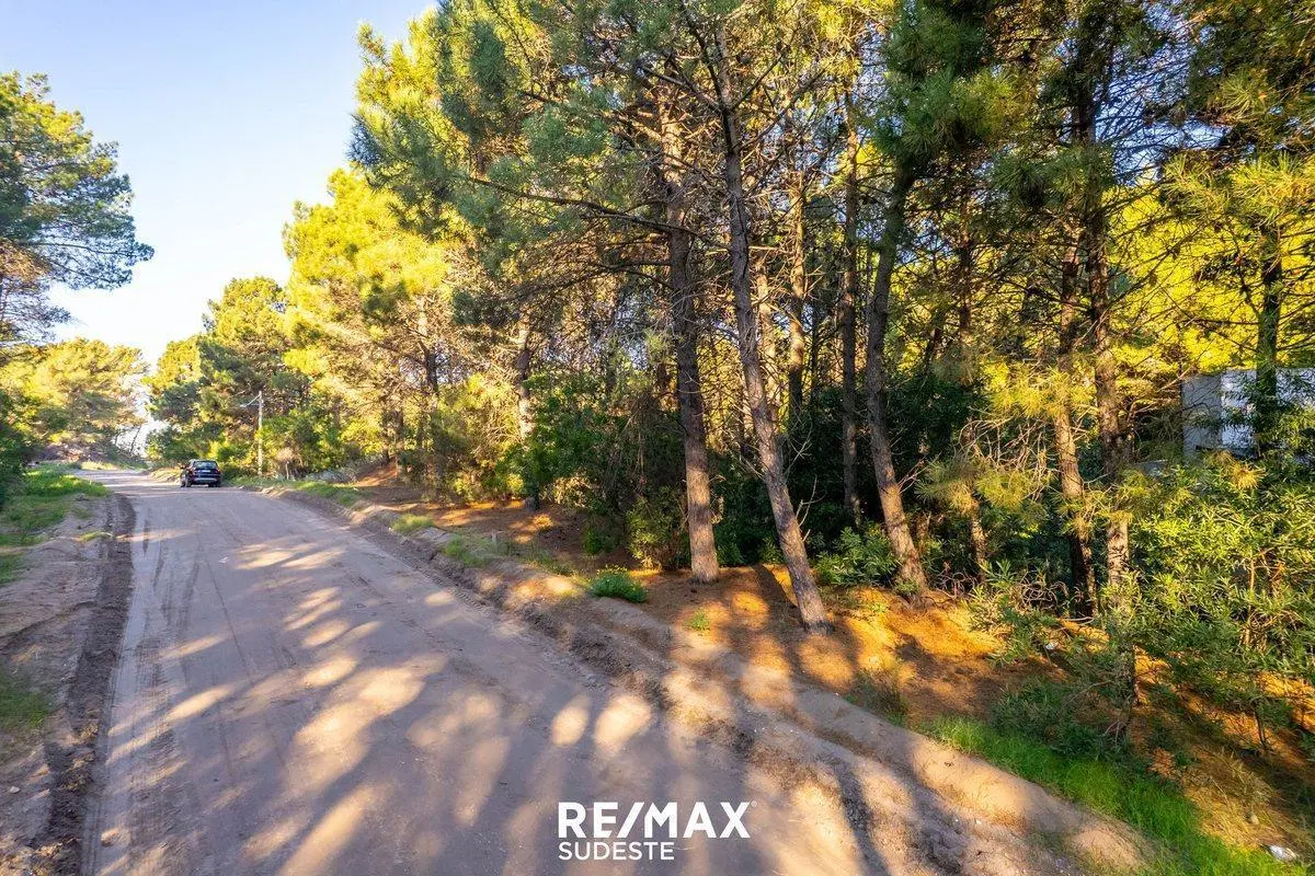 VENTA LOTE DE 920 MTS EN PINAR DEL GOLF 3