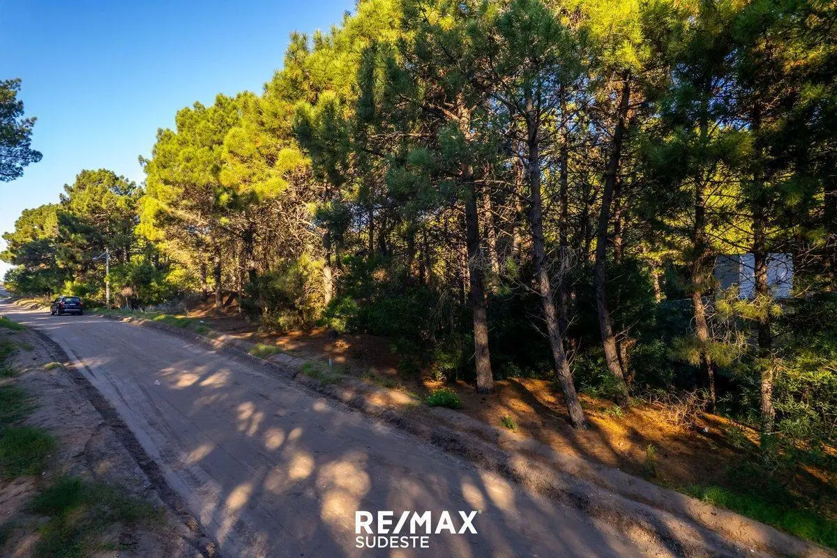 VENTA LOTE DE 920 MTS EN PINAR DEL GOLF 2
