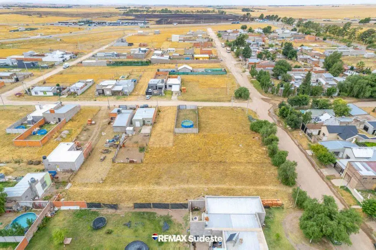 LOTE  SALINAS CHINAS 4200 4