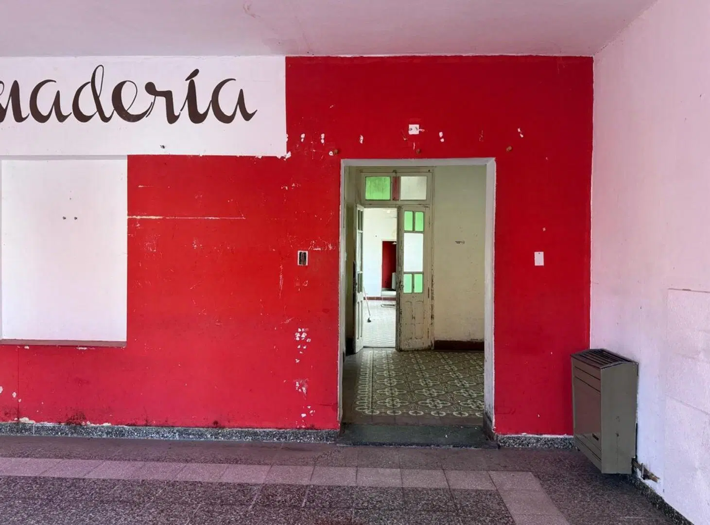 GRAN LOTE CÉNTRICO CON LOCAL, CASA Y SALÓN 4