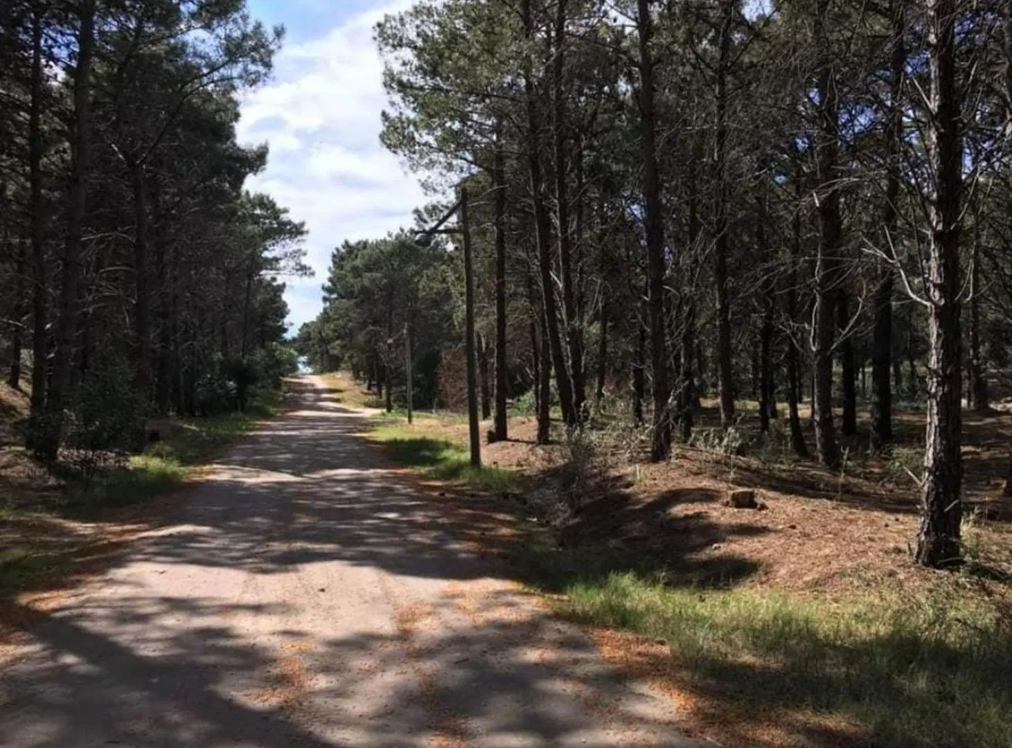Lote en Pinar del Golf 2