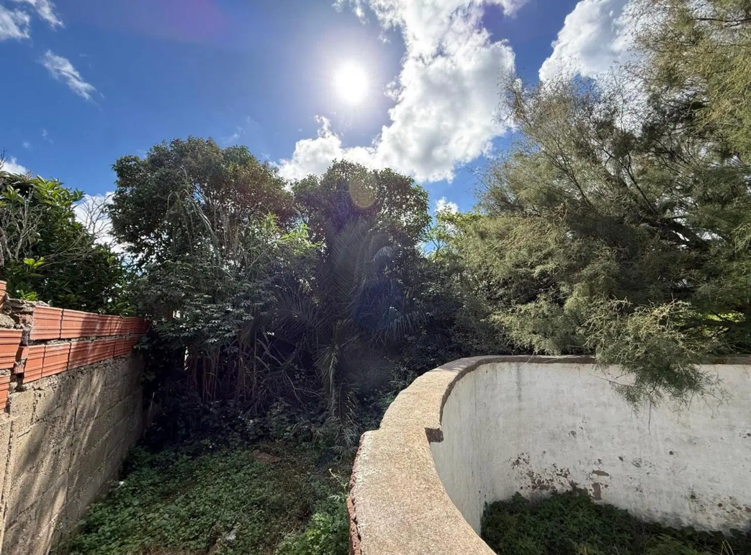 Local con casa y patio a reciclar en Patagones 550 3