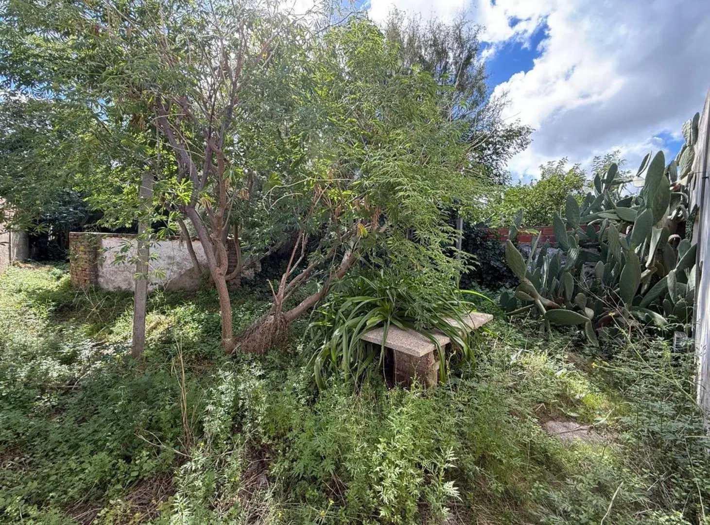 Local con casa y patio a reciclar en Patagones 550 1