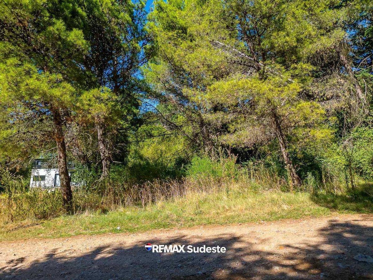 Foto de VENTA TERRENO VILLA VENTANA CALLE GORRION 895MTS, imagen 3