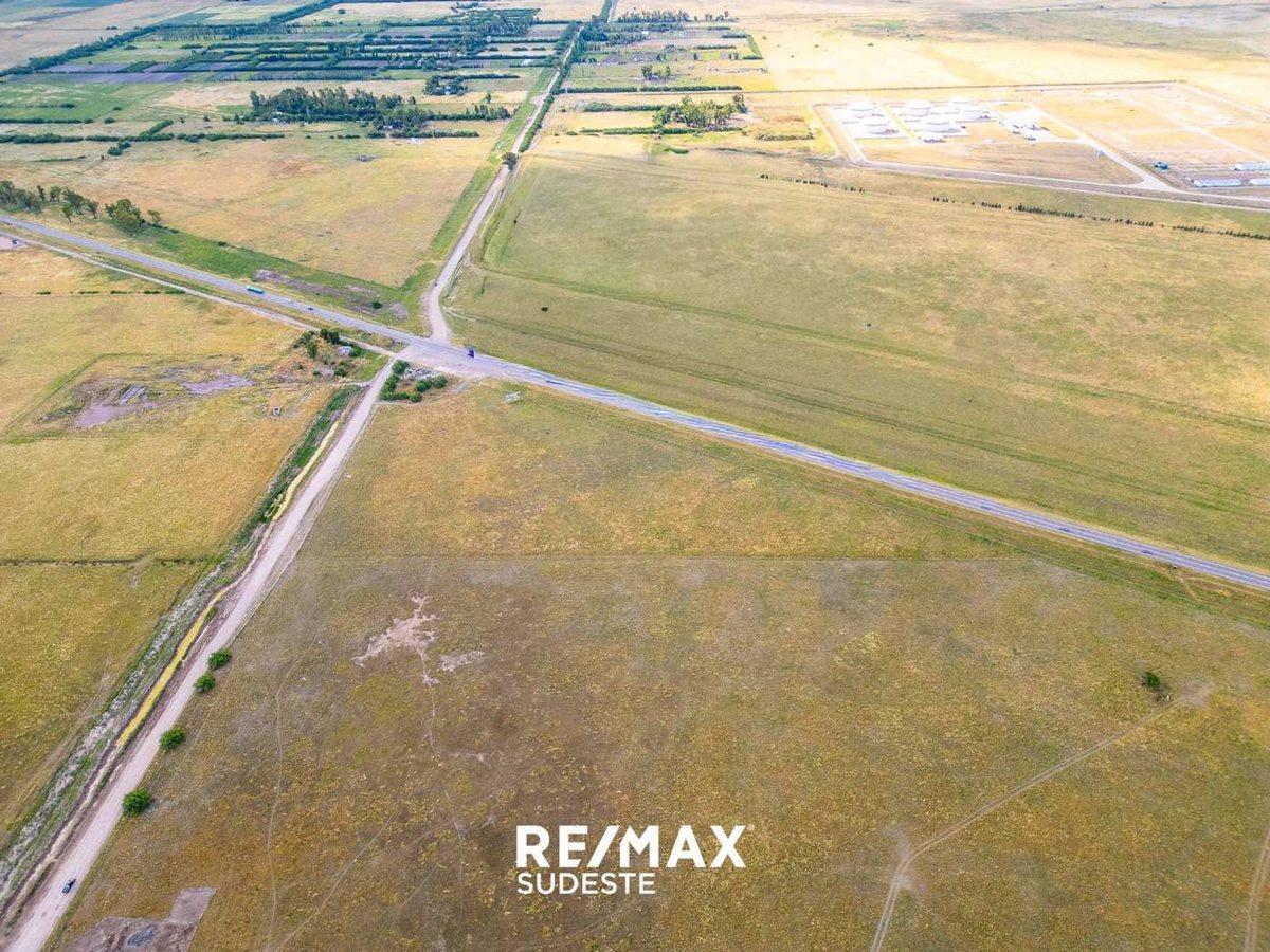 Foto de VENTA 4 HAS SOBRE RUTA 3 SUR CON SERVICIOS, imagen 3