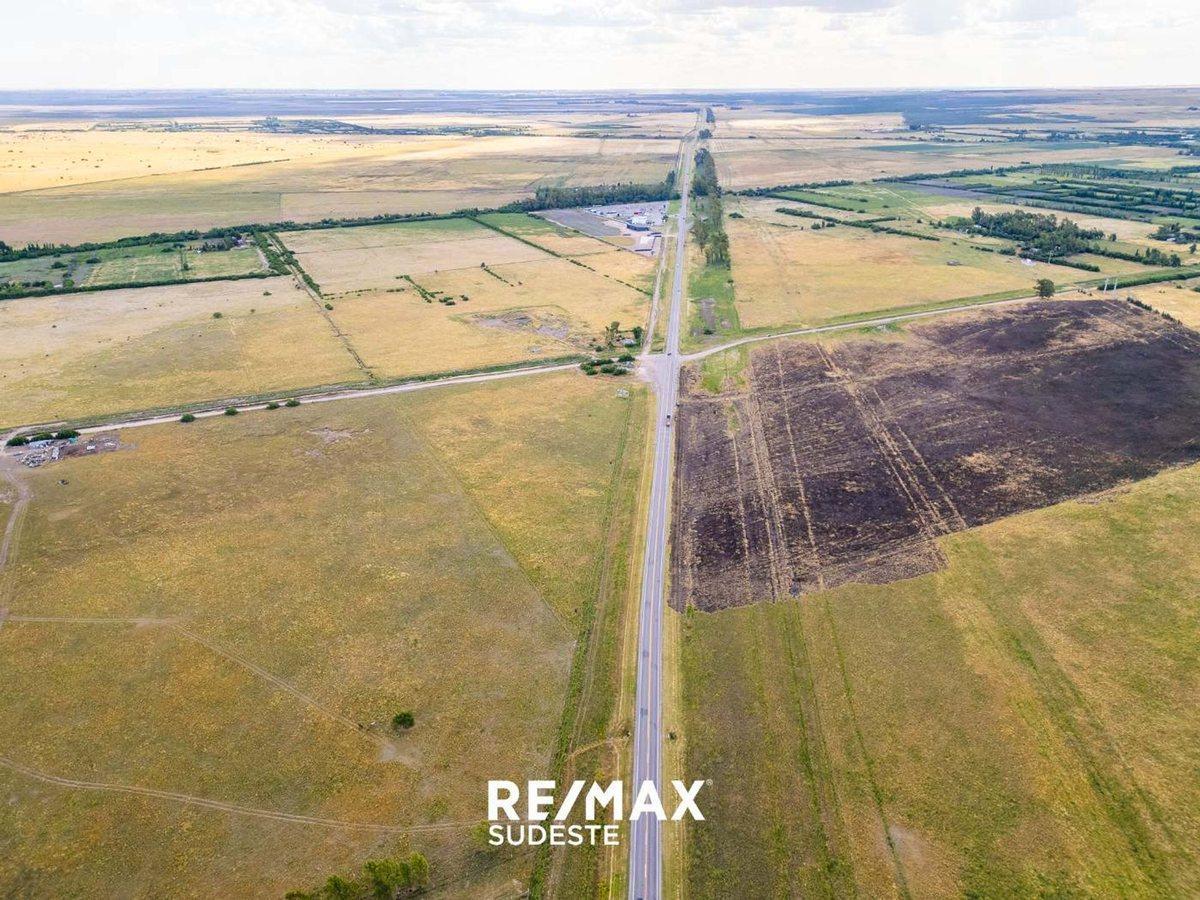 Foto de VENTA 4 HAS SOBRE RUTA 3 SUR CON SERVICIOS, imagen 1