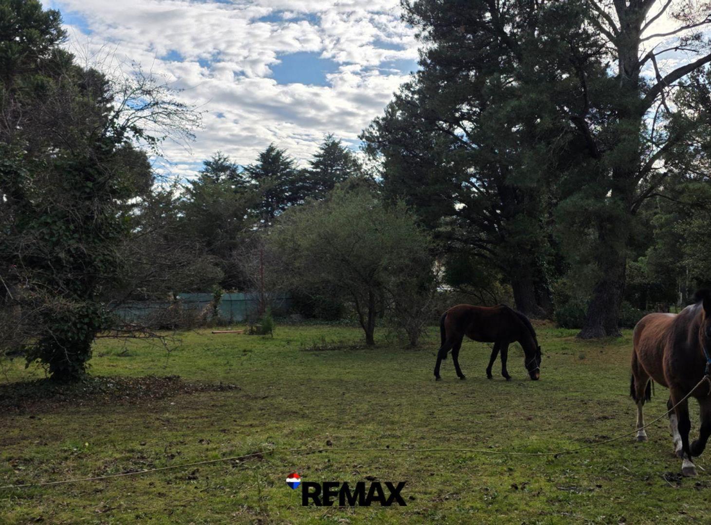 Foto de VENTA | COMPLEJO HOTELERO | VILLA VENTANA, imagen 5