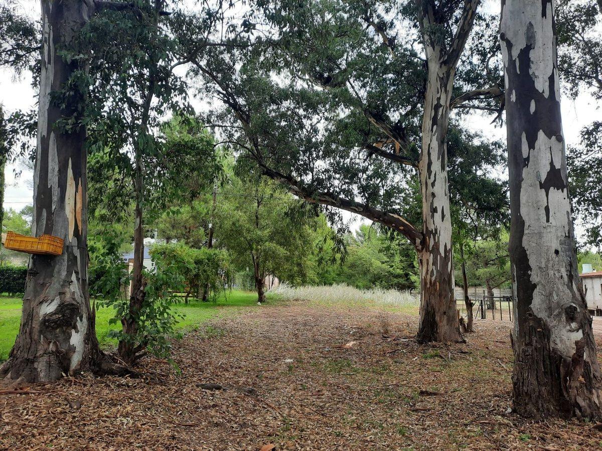Foto de LOTE EN PEHUEN CO, imagen 3