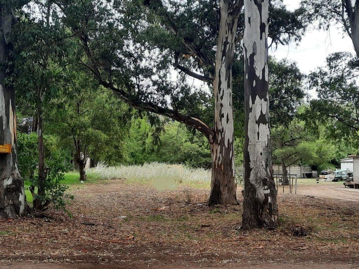 Foto de LOTE EN PEHUEN CO, imagen 2