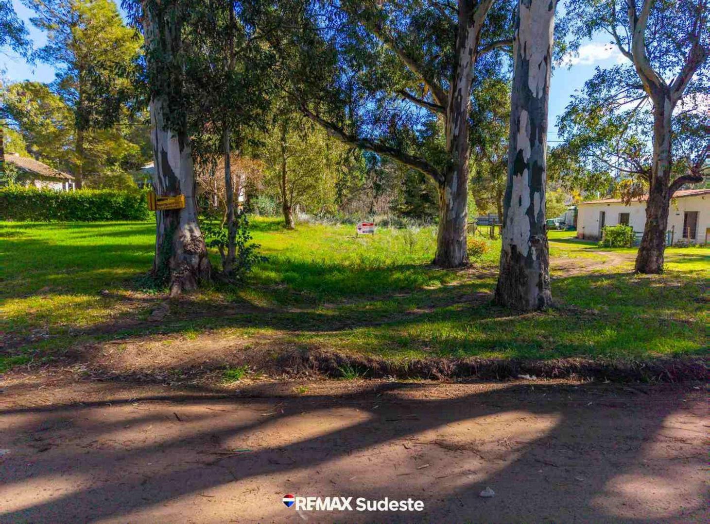 Foto de LOTE EN PEHUEN CO, imagen 5