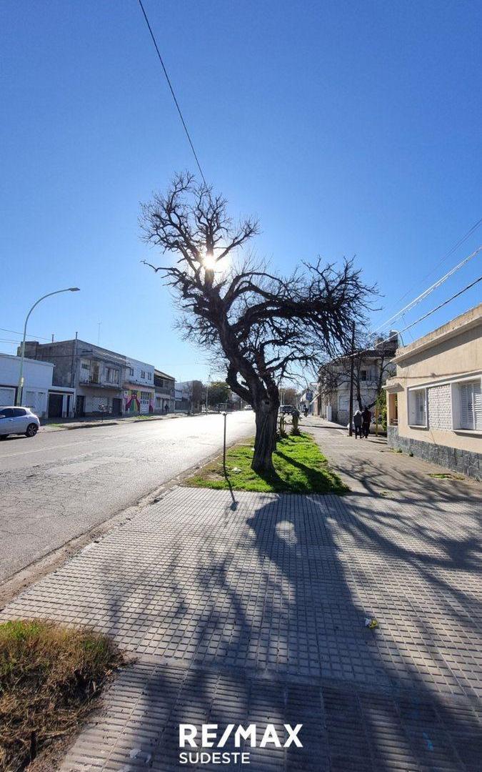 Foto de Local comercial en Avenida Colon, imagen 2