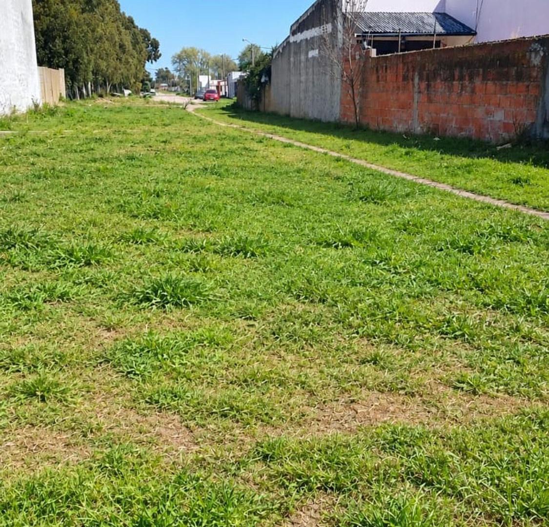 Foto de Terreno en venta con acceso a dos calles, imagen 2