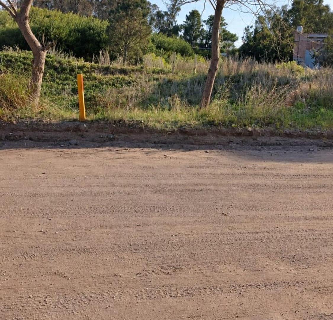 Foto de Terreno en excelente ubicación en Sauce Grande, imagen 4