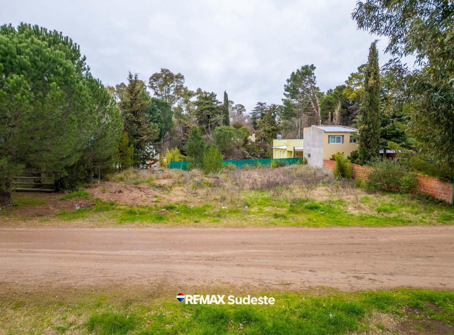 Foto de LOTE EN PEHUENCO – ESCRITURA INMEDIATA/ PERMUTAS, imagen 2