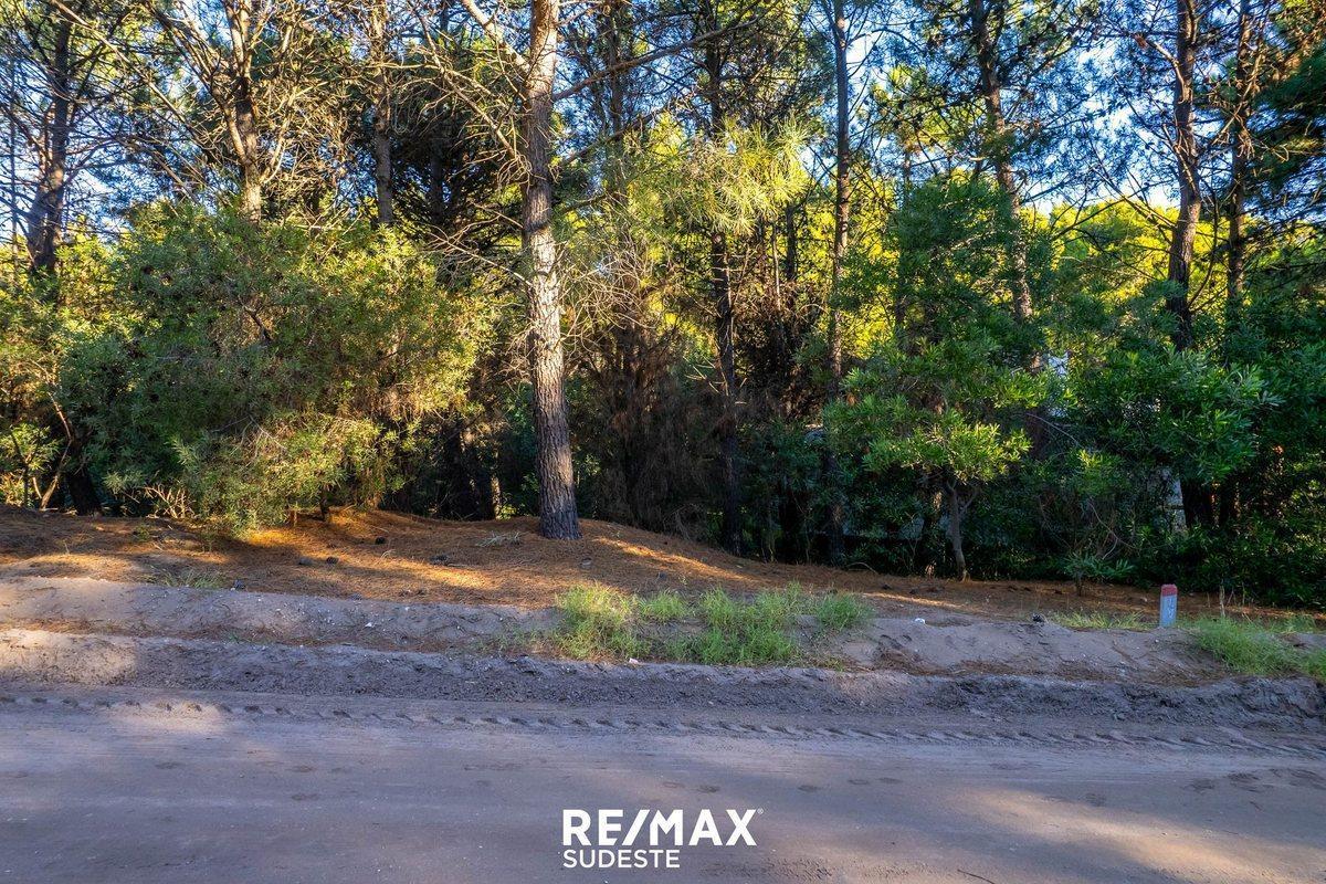 Foto de VENTA LOTE DE 920 MTS EN PINAR DEL GOLF, imagen 3