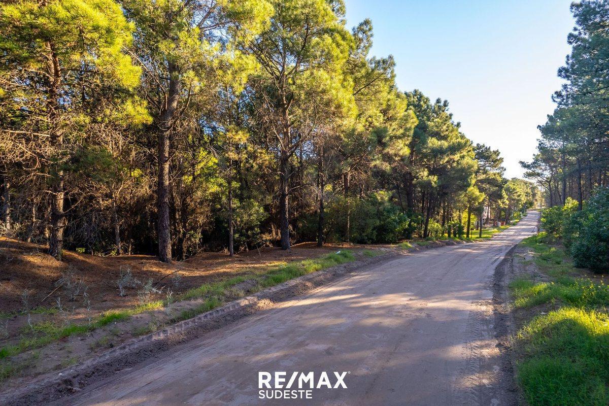 Foto de VENTA LOTE DE 920 MTS EN PINAR DEL GOLF, imagen 2