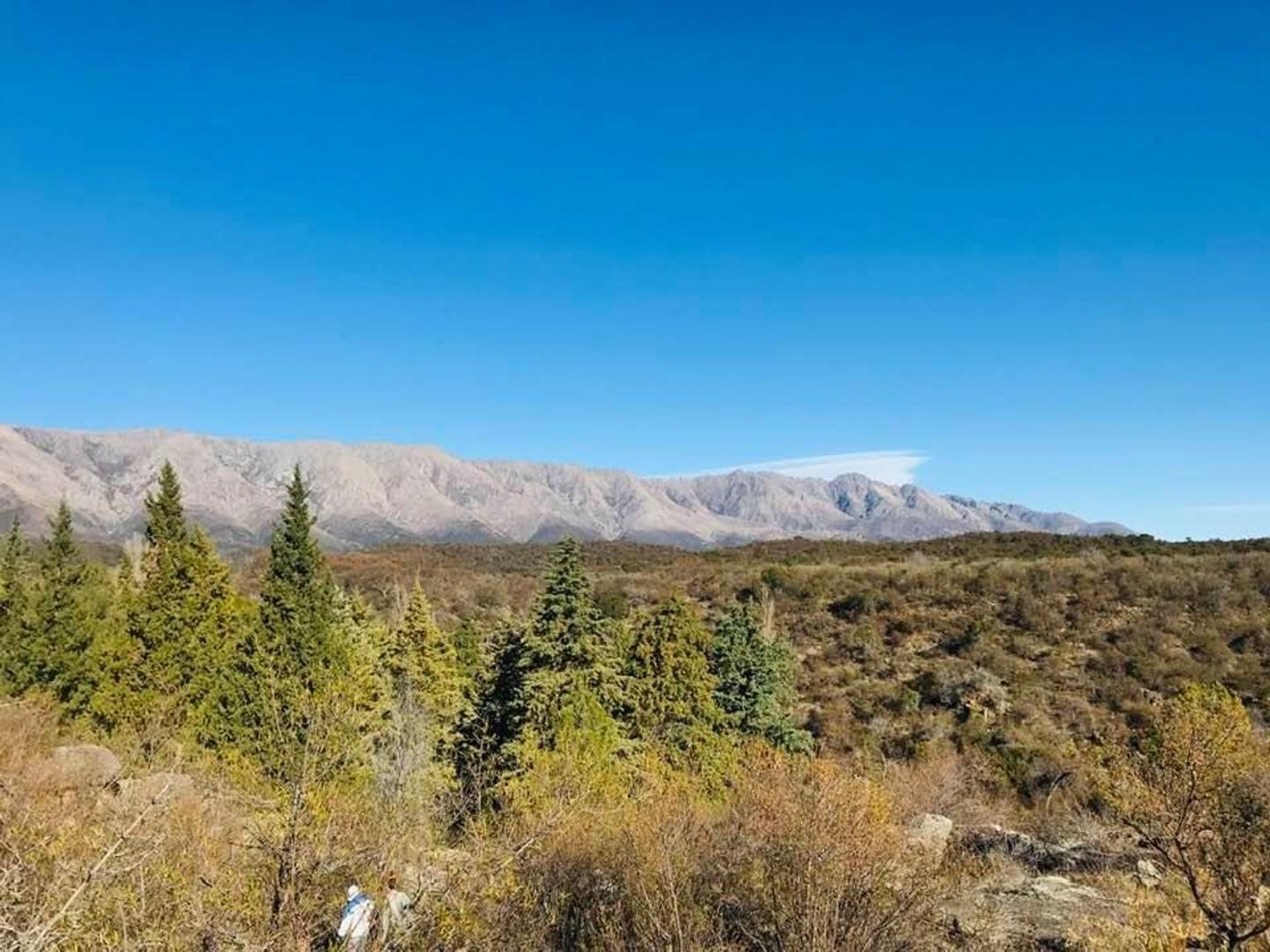 Foto de VENDO CAMPO EN LOS ALGARROBOS NONO, imagen 1