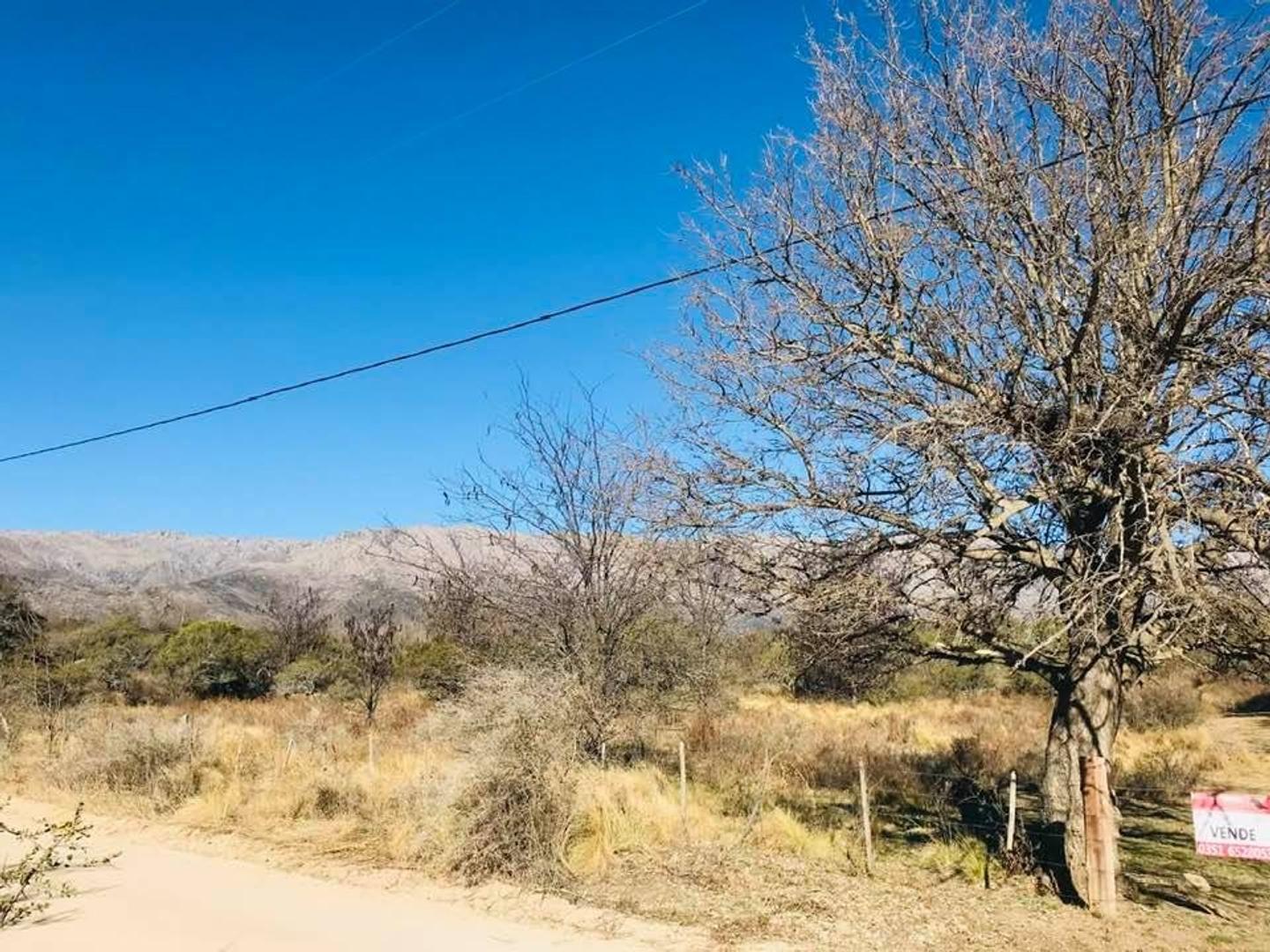 Foto de VENDO CAMPO EN LOS ALGARROBOS NONO, imagen 3