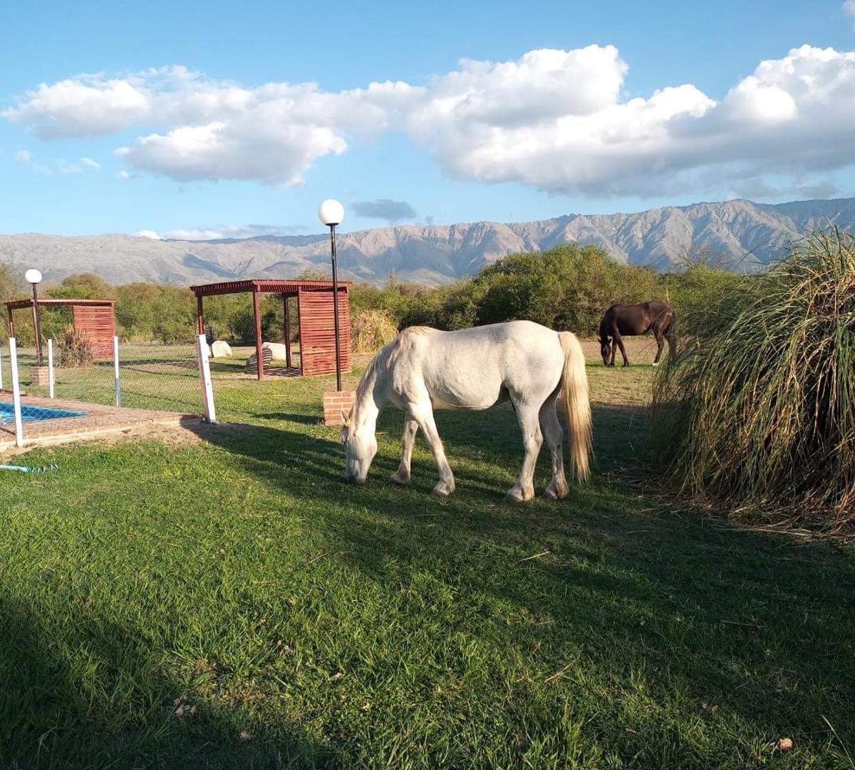 Se Vende un Hermoso Hotel Familiar Al Pie de Las Sierras 4