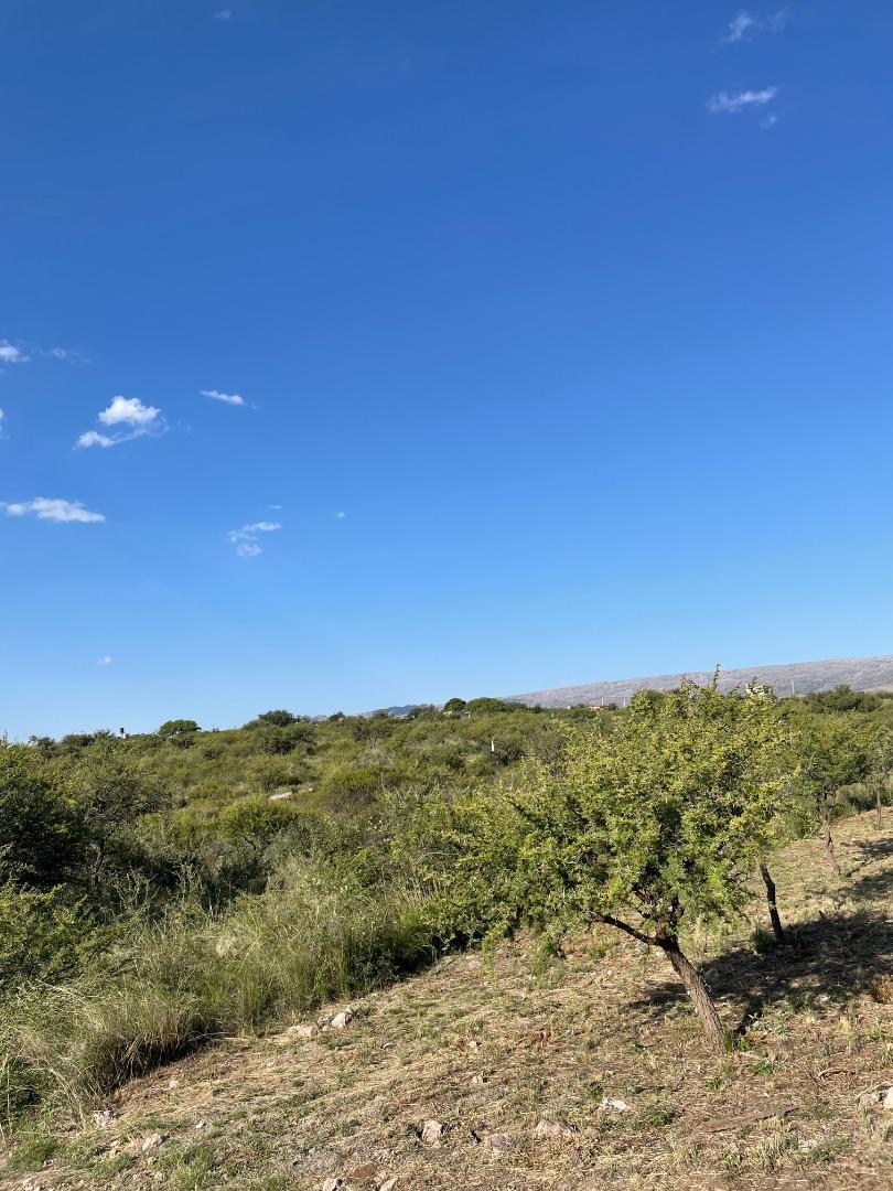 Foto de Hermoso terreno en San Lorenzo, imagen 4