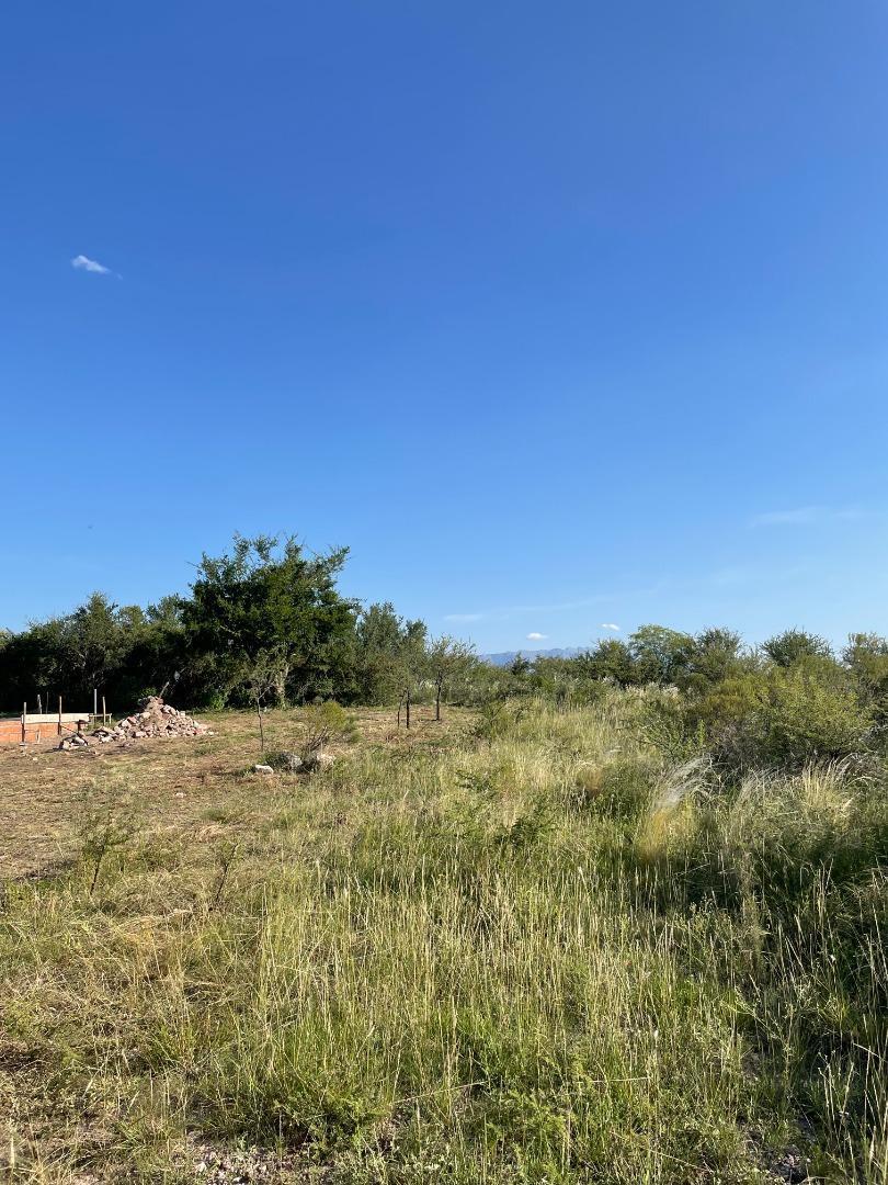 Foto de Hermoso terreno en San Lorenzo, imagen 3