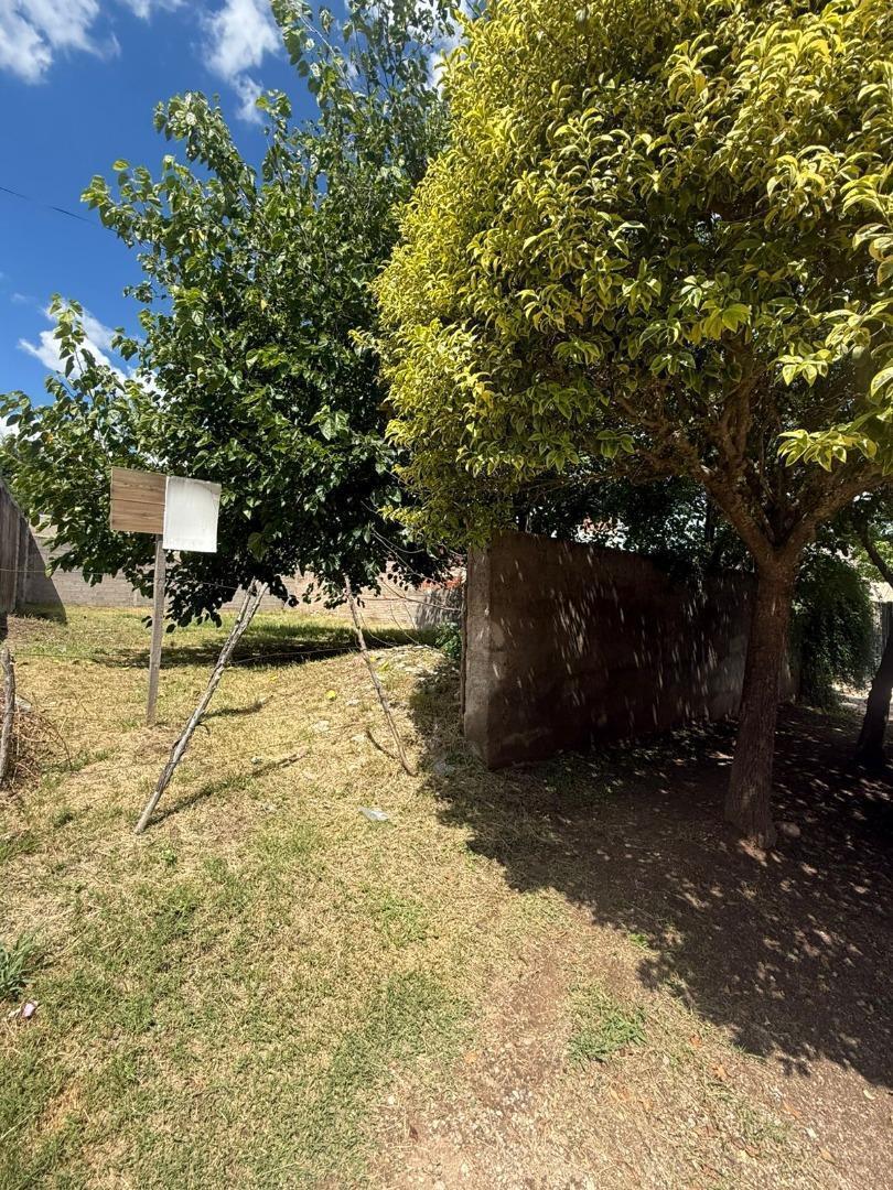 Foto de TERRENO CON ESCRITURA EN MINA CLAVERO CERCA DEL CENTRO, imagen 3