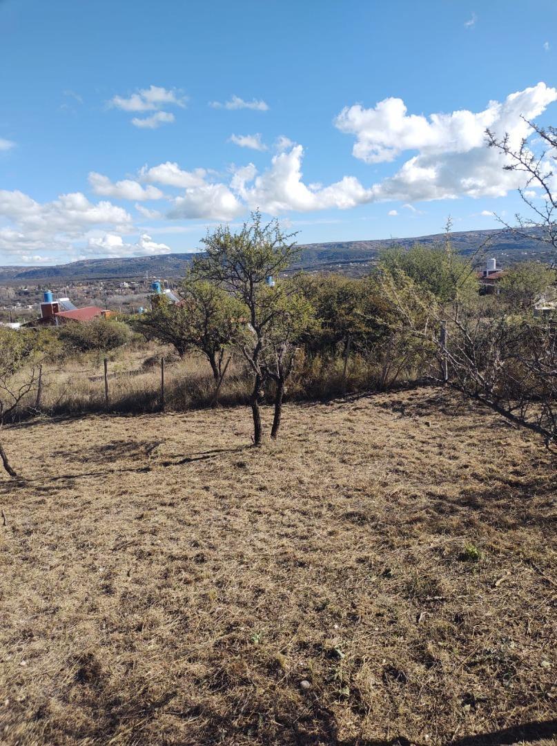 Foto de Se vende terreno en San Lorenzo, imagen 5