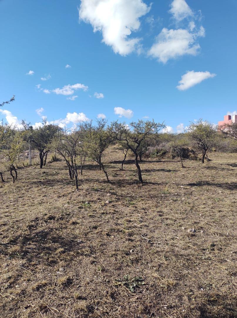 Foto de Se vende terreno en San Lorenzo, imagen 3