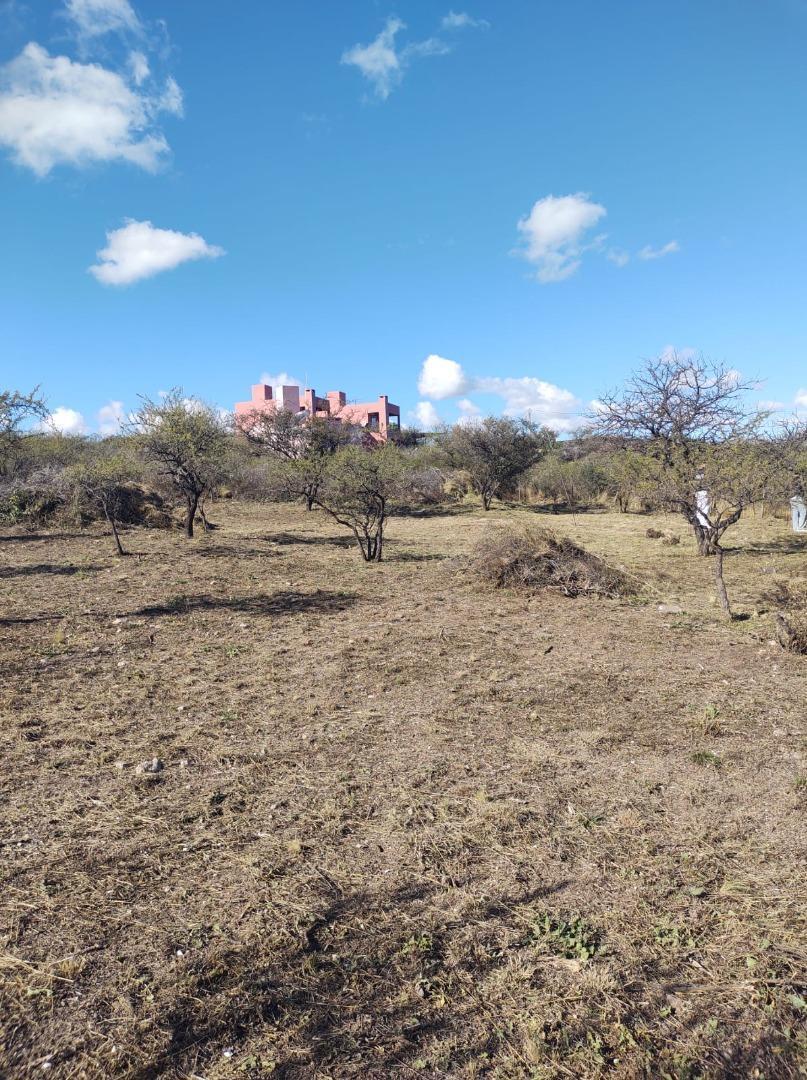 Foto de Se vende terreno en San Lorenzo, imagen 4