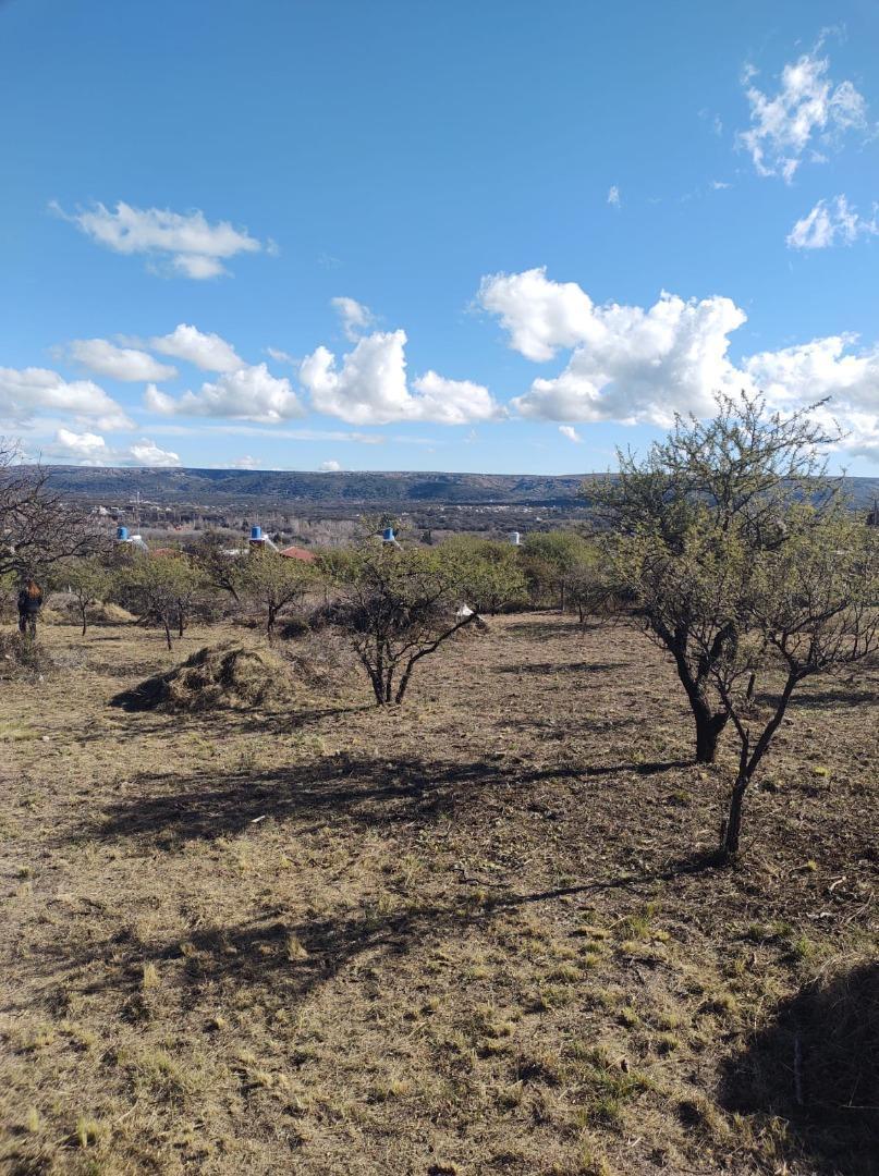 Foto de Se vende terreno en San Lorenzo, imagen 2