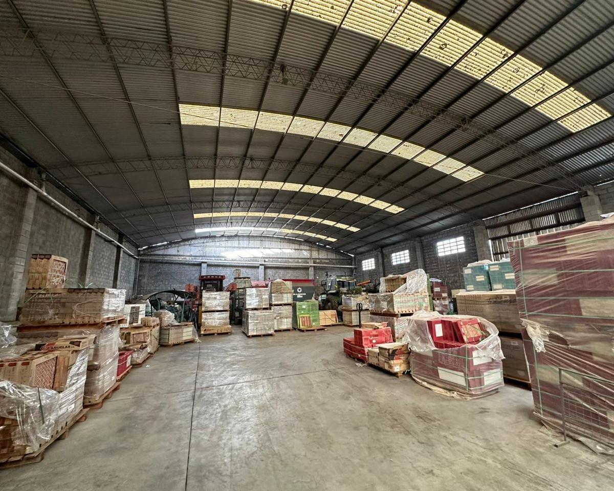 Galpon 1600 m², Predio 7700 m², 2 Casas Sobre Ruta 88. 3