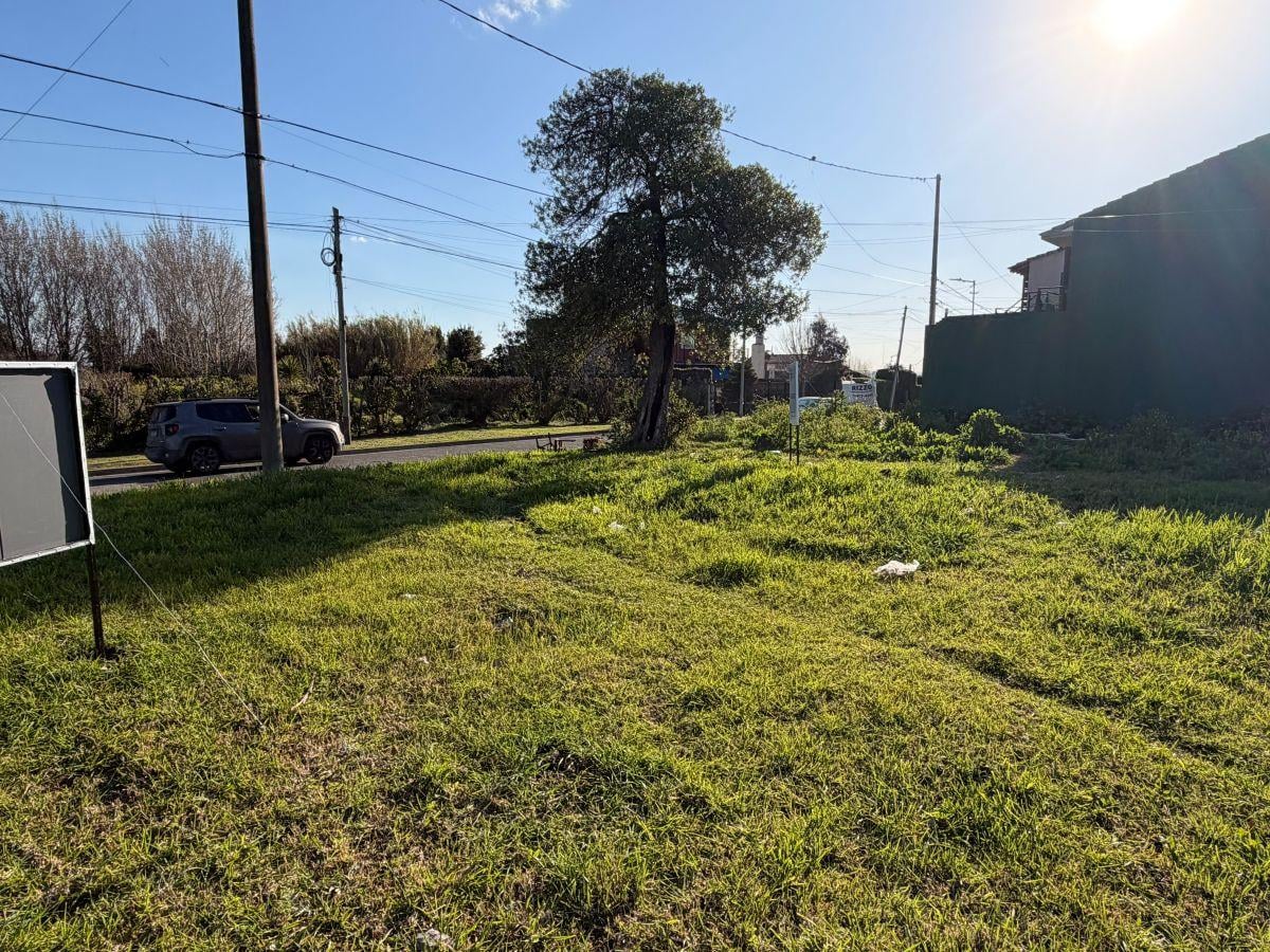 Foto de VENTA LOTE EN SAN CARLOS APTO CREDITO, imagen 4