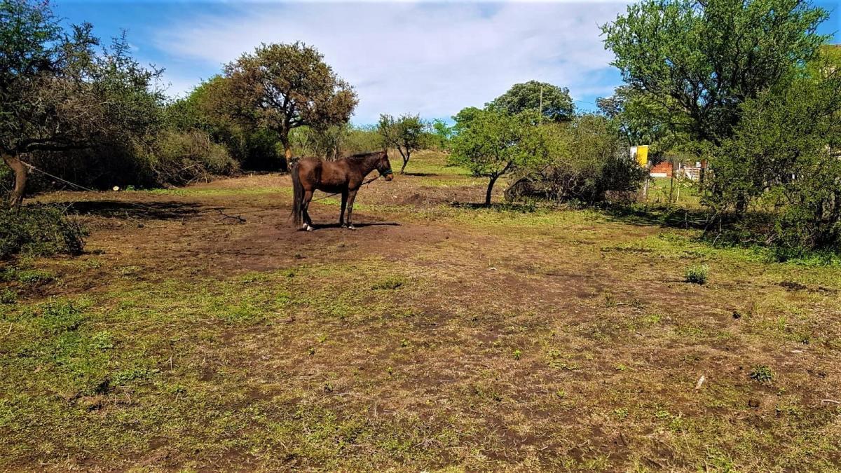 Villa Rumipal - Excelentes Lotes en Venta 360 m² con Escritura! 5