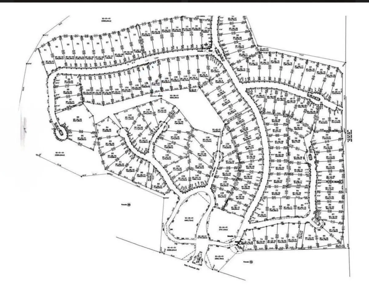 Plano 4