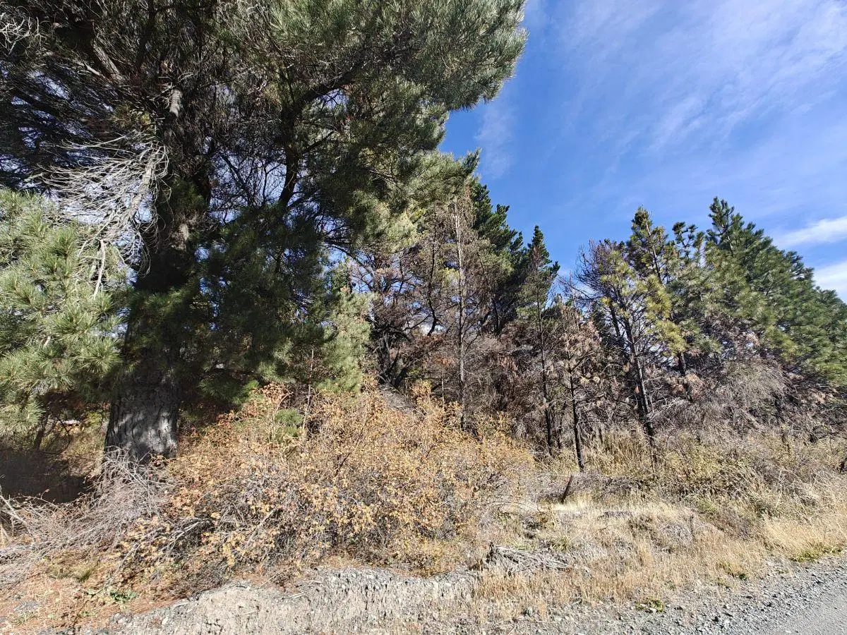 Terreno de 6000 metros en la zona del Lago Epuyen 2