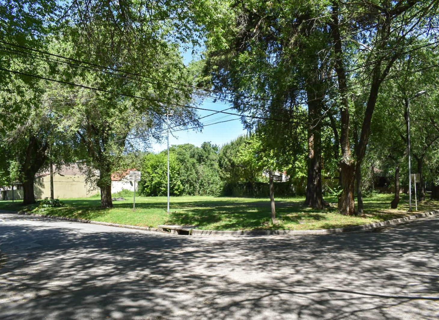 Foto de Terreno en Bosque Alegre, imagen 4
