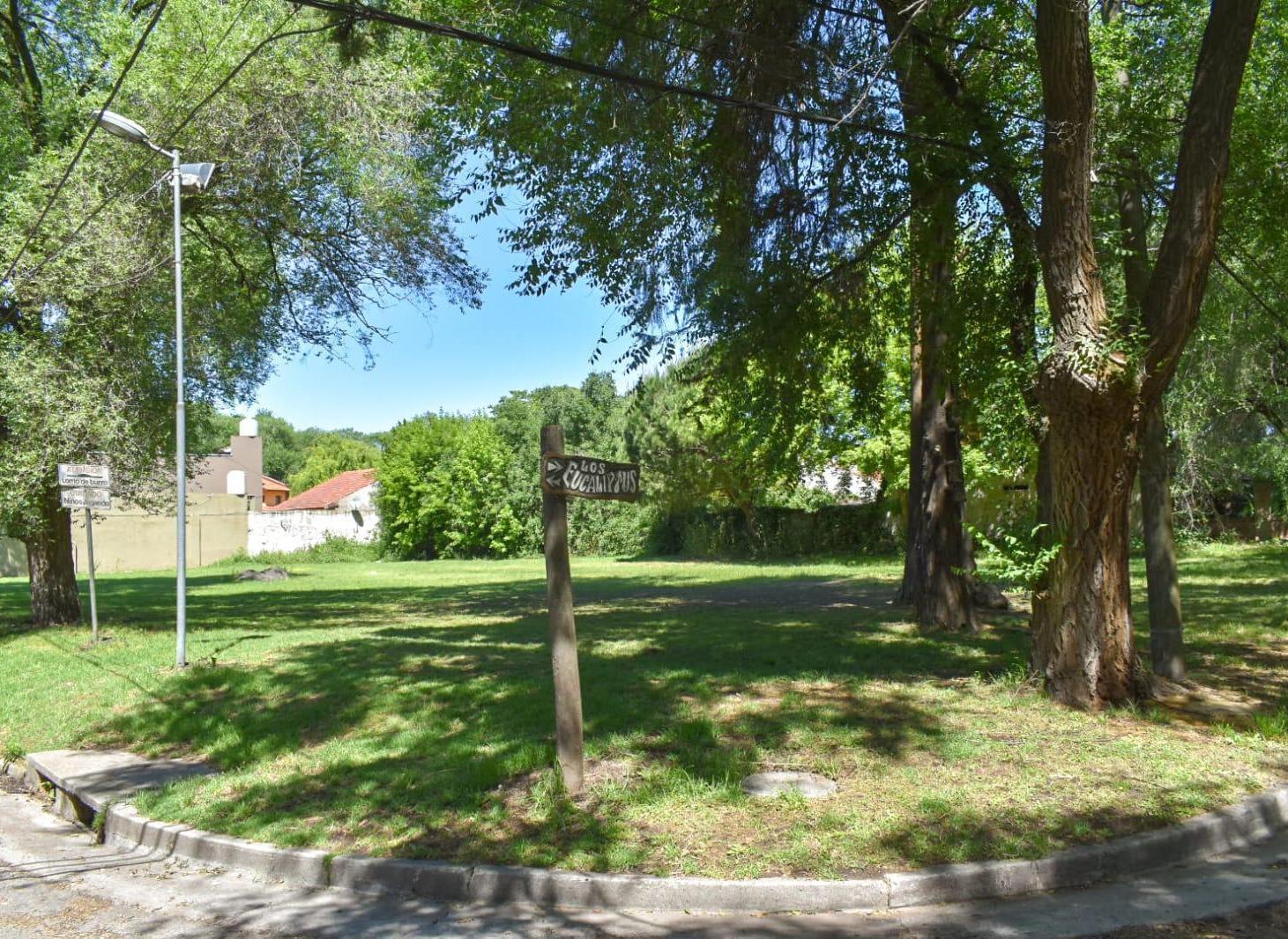 Foto de Terreno en Bosque Alegre, imagen 2
