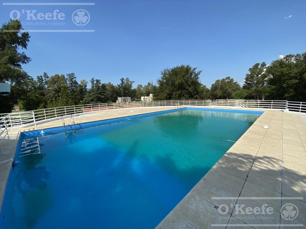Foto de EXCELENTES LOTES EN VENTA EN LA ARBOLADA, imagen 4
