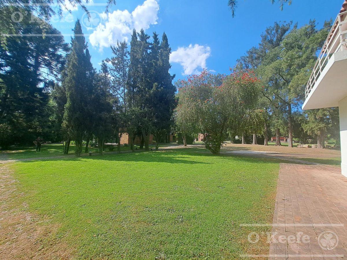 Foto de EXCELENTES LOTES EN VENTA EN LA ARBOLADA, imagen 1