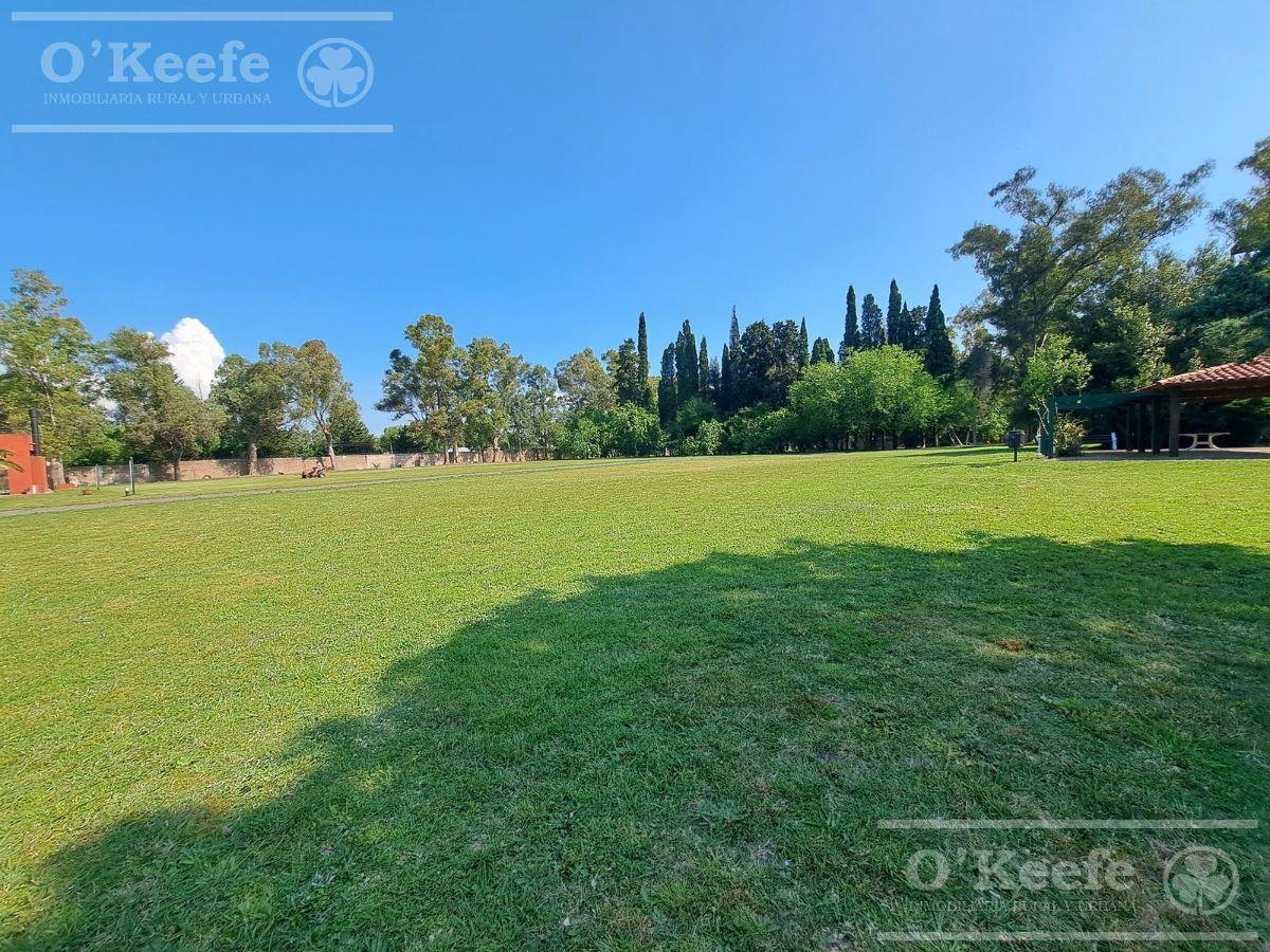 Foto de EXCELENTES LOTES EN VENTA EN LA ARBOLADA, imagen 5