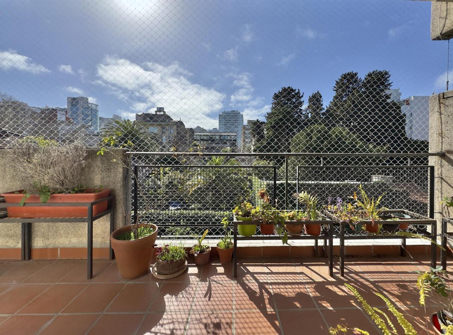 Foto de DEPARTAMENTO 4 AMBIENTES VENTA VICENTE LÓPEZ, imagen 4
