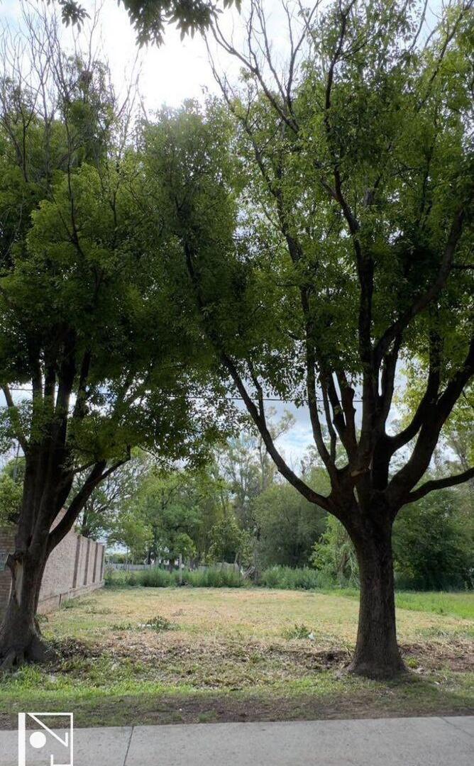 Imagen de la propiedad