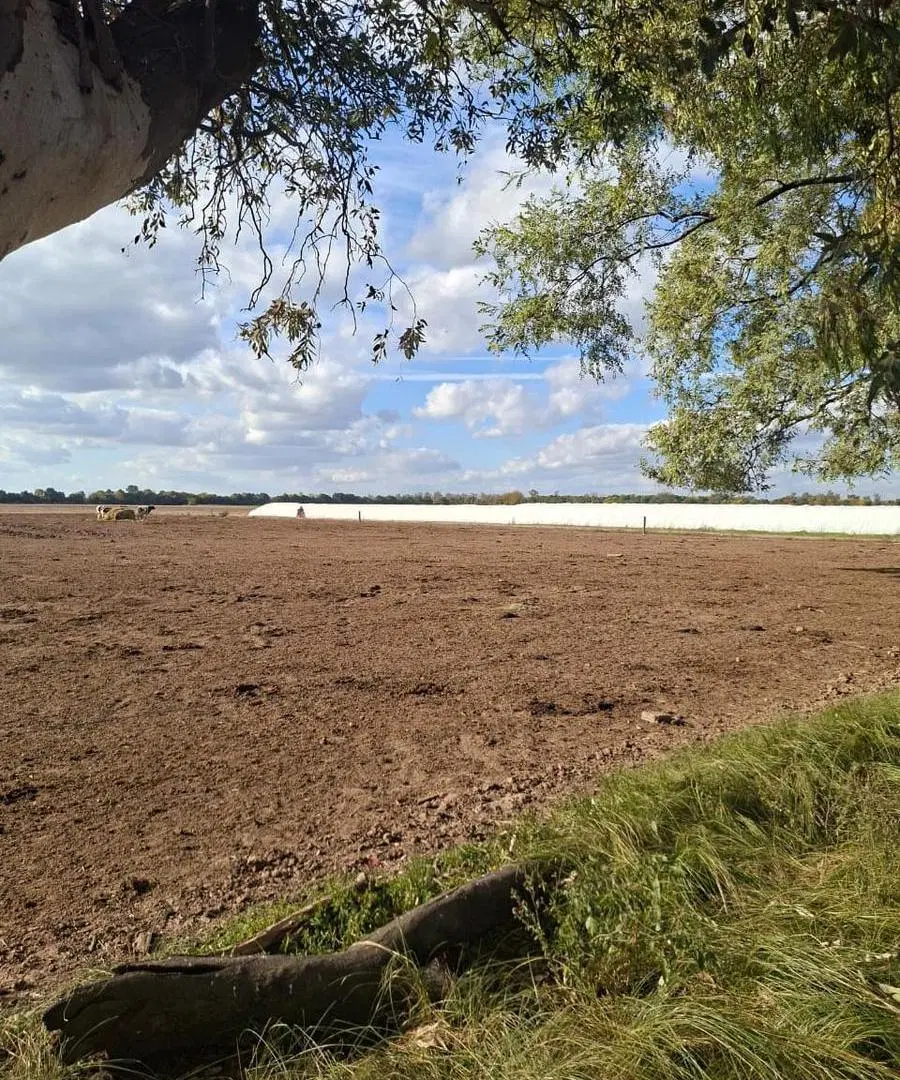 Campo en venta 60 has 4