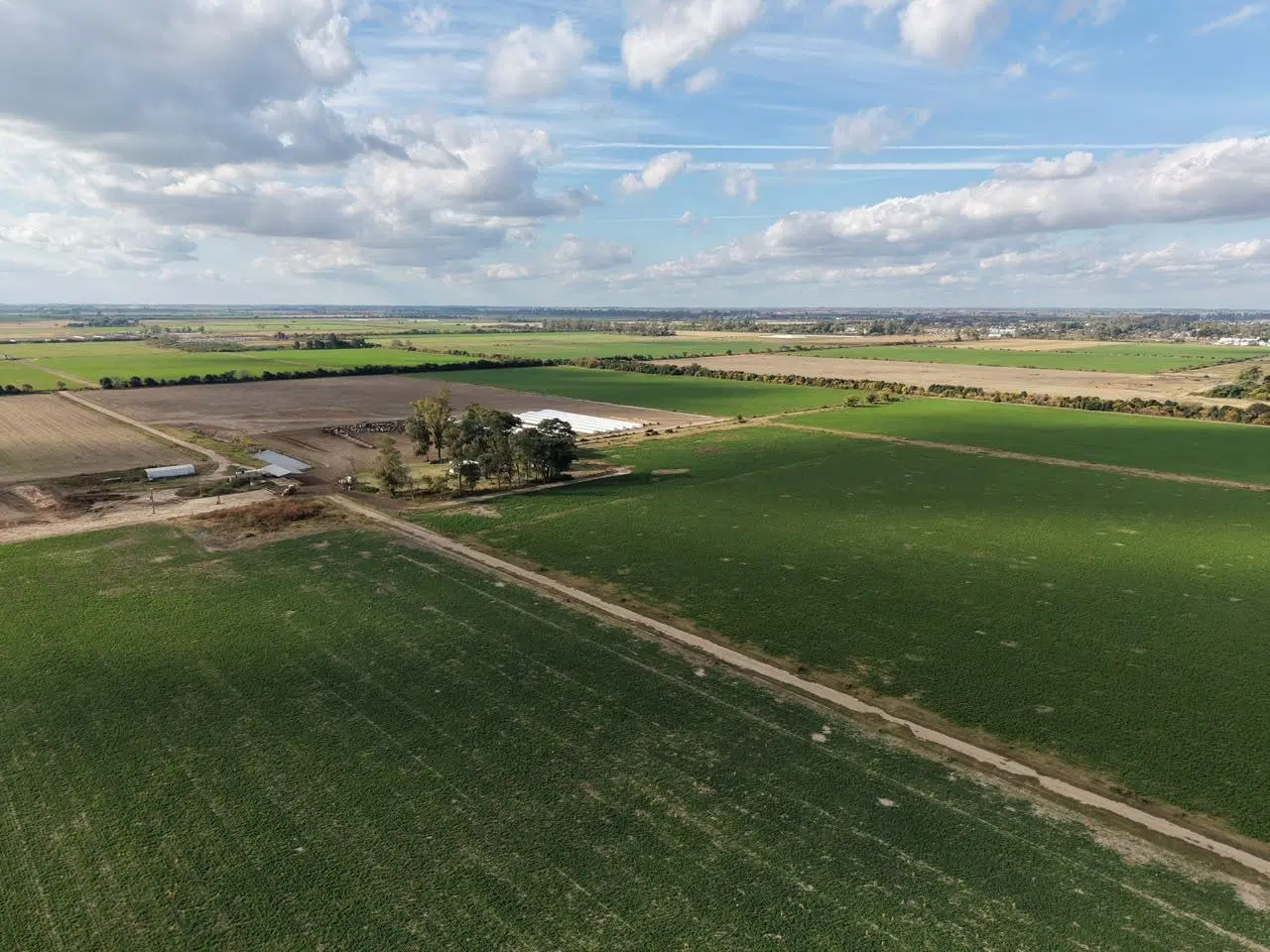 Campo en venta 60 has 2
