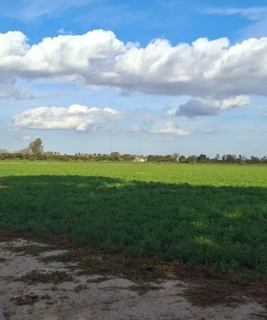 Campo en venta 60 has 3