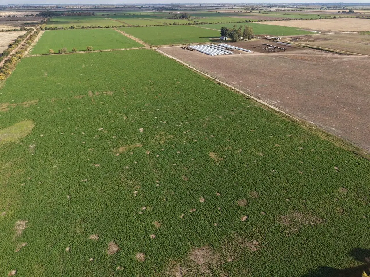 Campo en venta 60 has 5