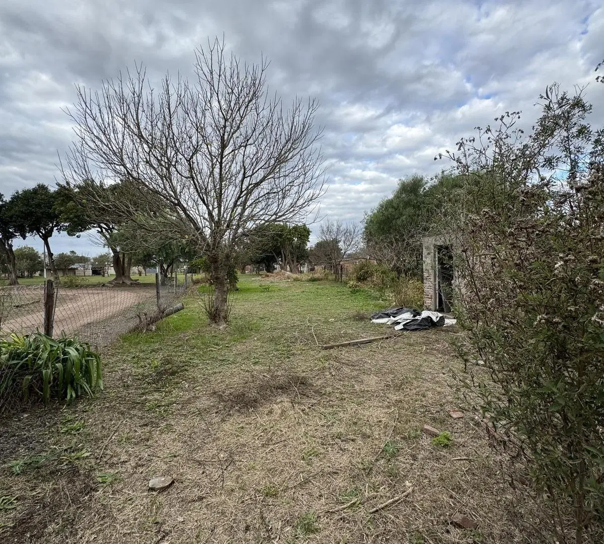 Terreno con propiedad 5