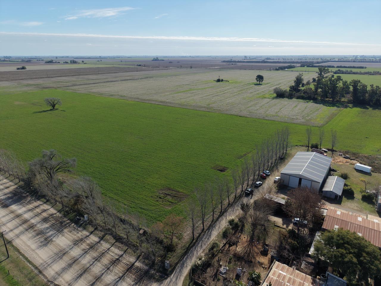 Foto de Campo en San Carlos Centro, imagen 1